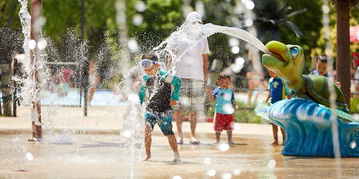 Pelican-Harbor-Slider1