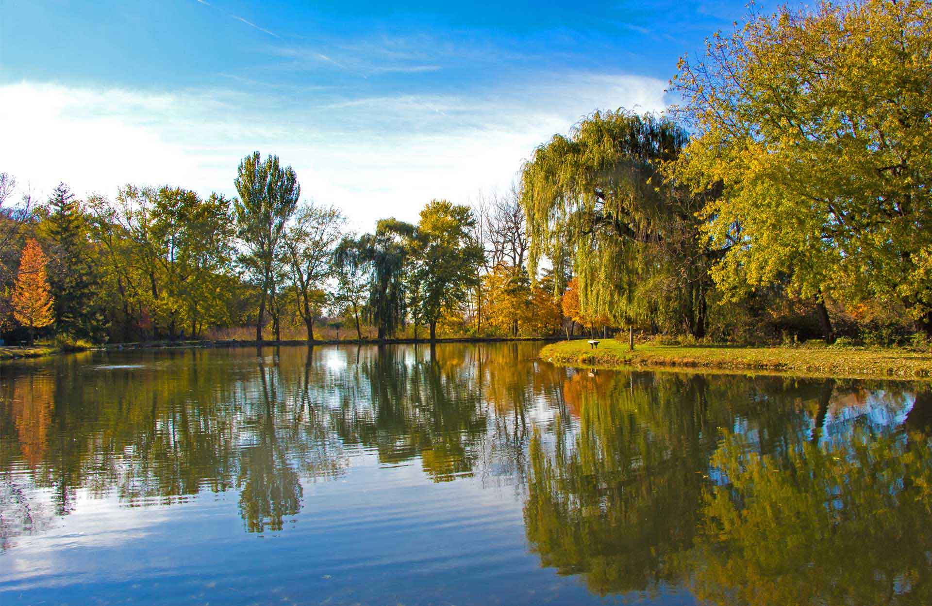 Bolingbrook Park District fall trees over lake