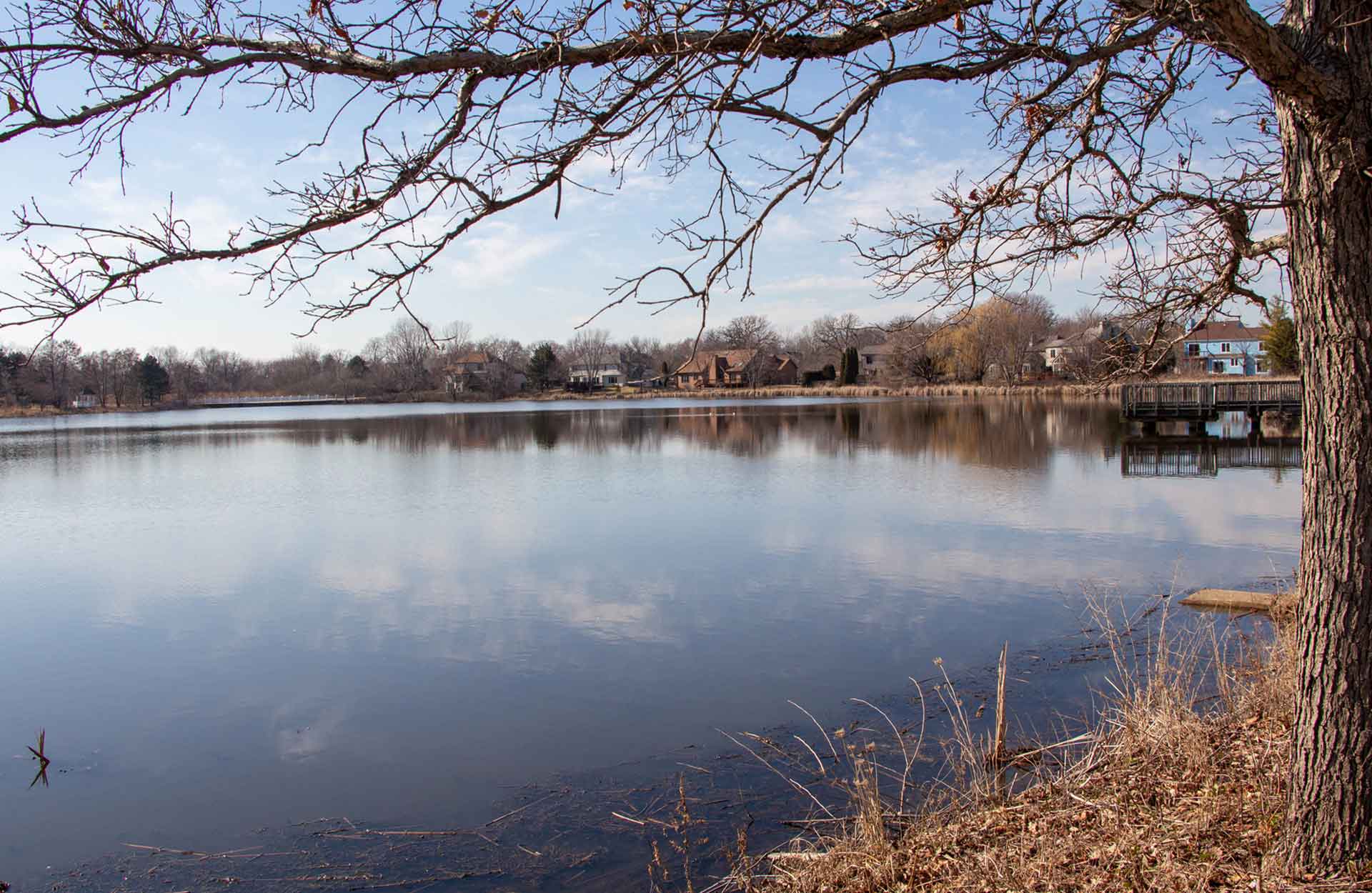 Bolingbrook Park District Gateway Wetlands