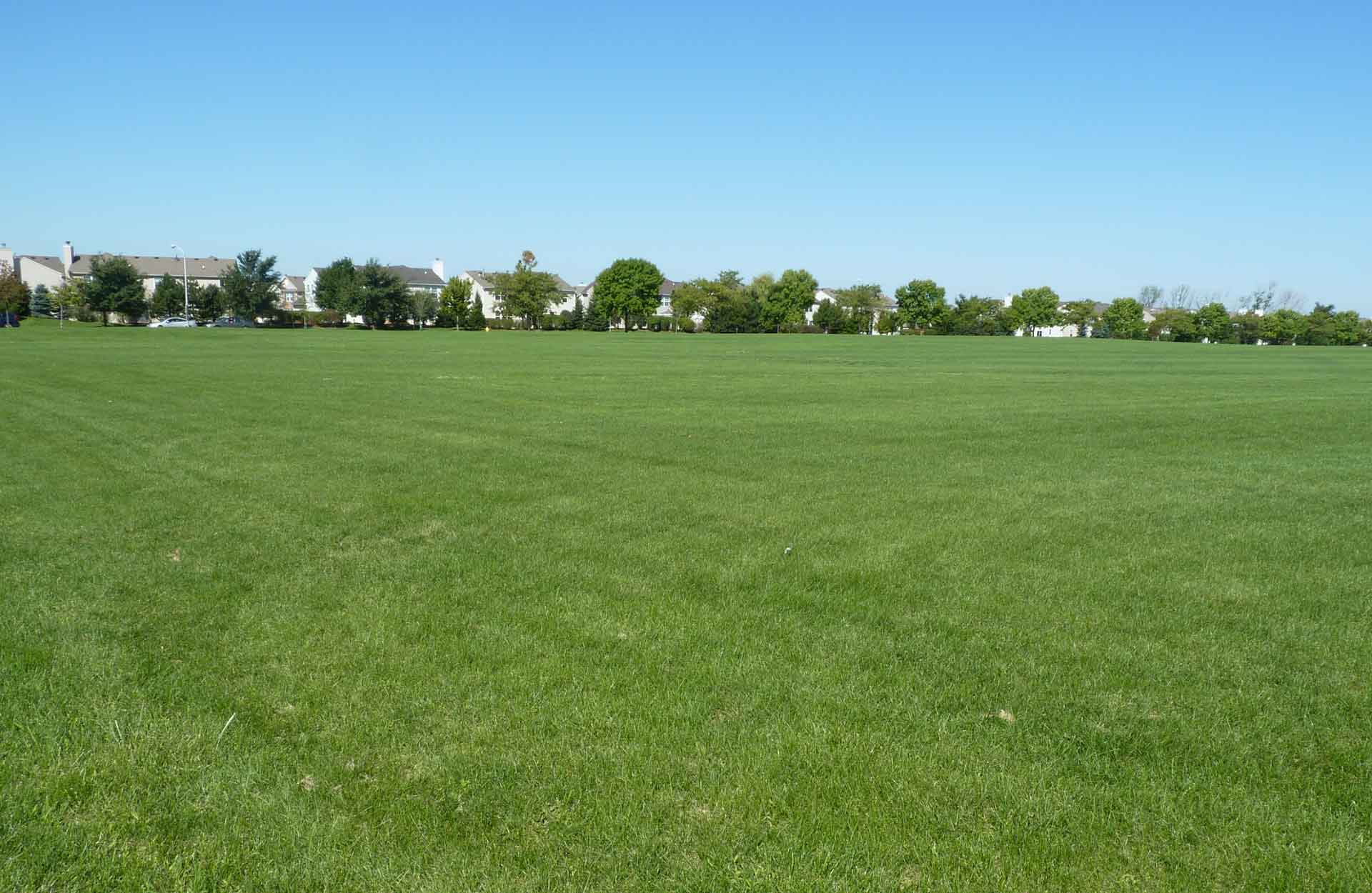 Bolingbrook Park District Volunteer Park