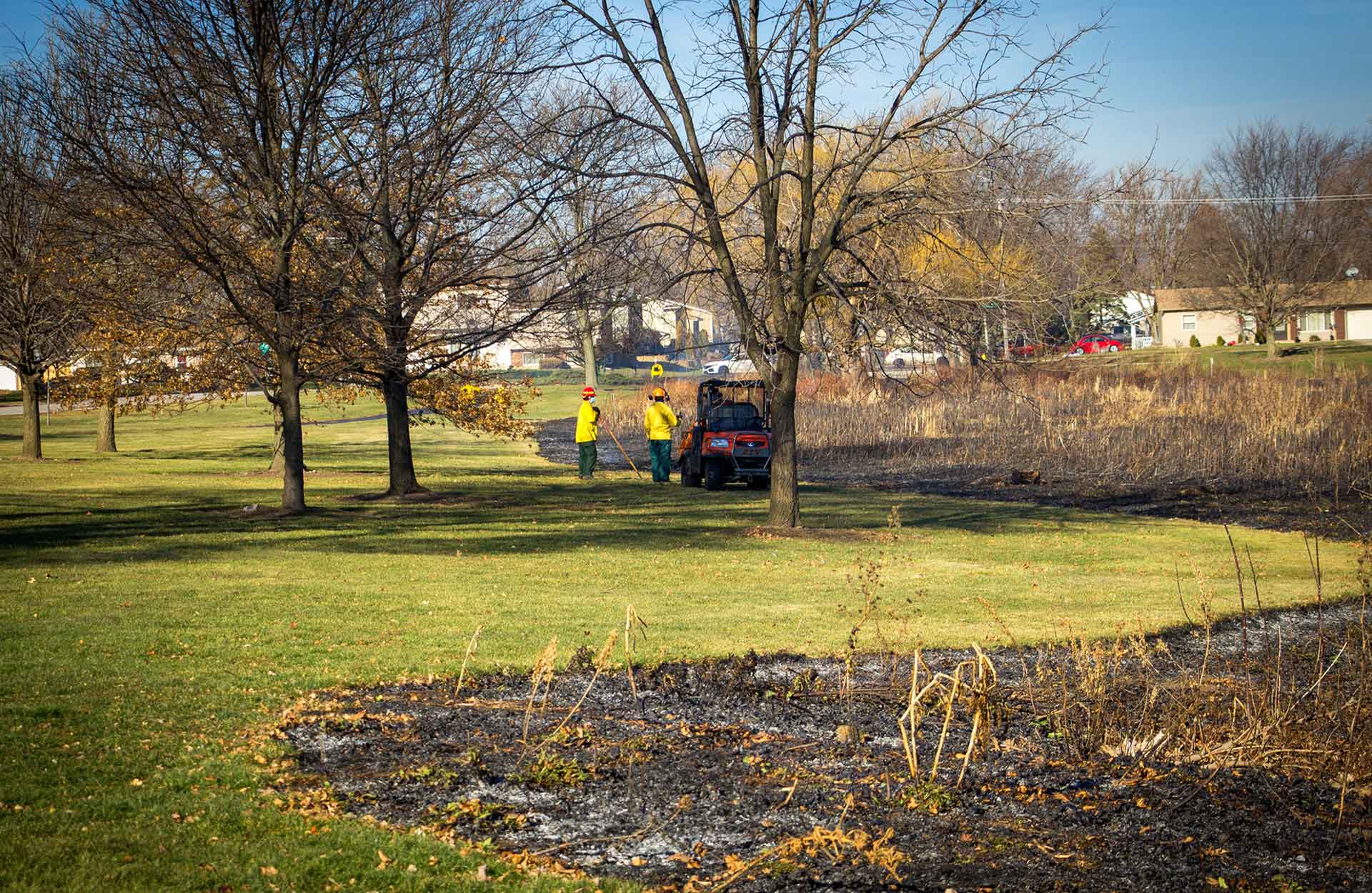 burned area in park after a controlled burn